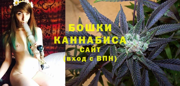 стаф Магадан