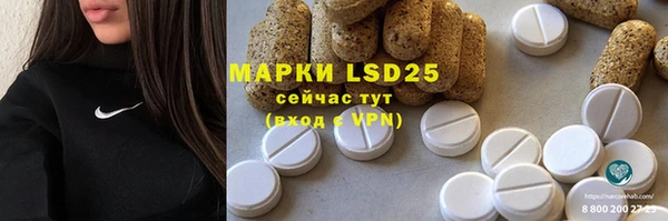 гашик Майский