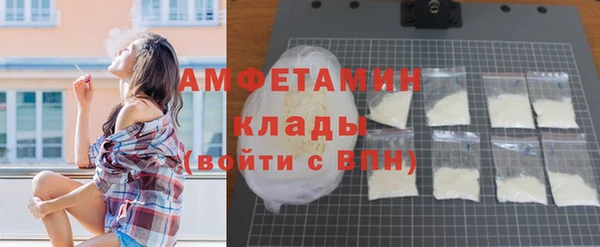 гашик Майский