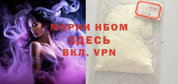 гашик Майский