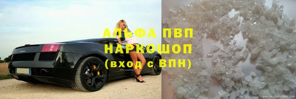 стаф Магадан