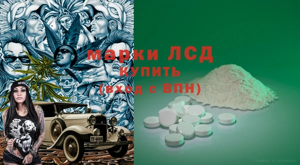гашик Майский