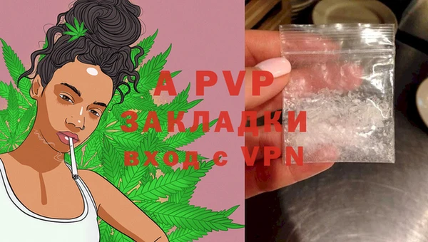 стаф Магадан