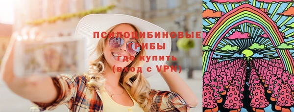 гашик Майский