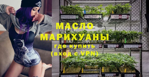 гашик Майский