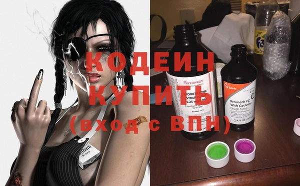гашик Майский
