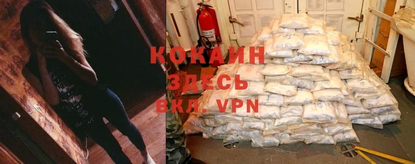 гашик Майский