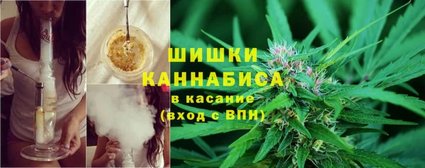 стаф Магадан