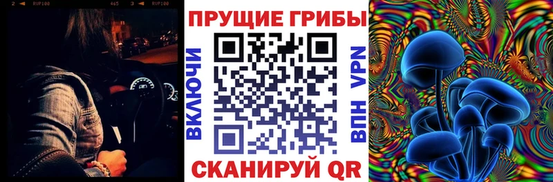 наркотики  Новотитаровская  Галлюциногенные грибы Psilocybe 