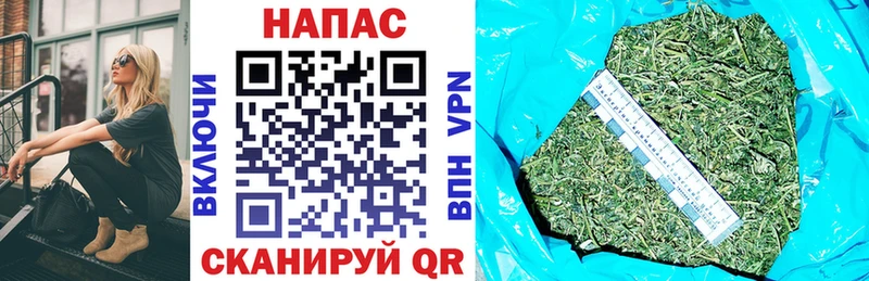 закладка  Новотитаровская  darknet Telegram  МАРИХУАНА конопля 